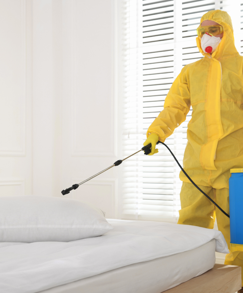 Professional Pest Control Team in Forest Range
